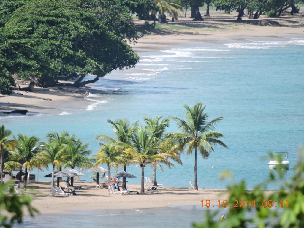 Amazing Beach View Apartments Castries Exterior foto